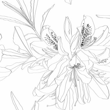 Rhododendron Cosmopolitan çiçekleri, beyaz arka planda. Kusursuz desen.