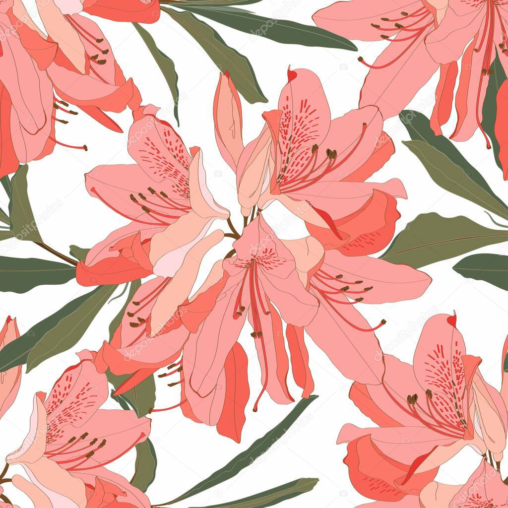 Seamless pattern with Oleander flower. Floral composition. Orange Rhododendron flowers on a white background. 