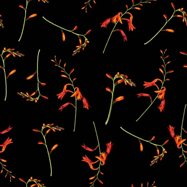 Tropické Krásné Crocosmia Květiny Pěkný Vzor Bezešvé Roztomilé Oranžové Květy — Stockový vektor