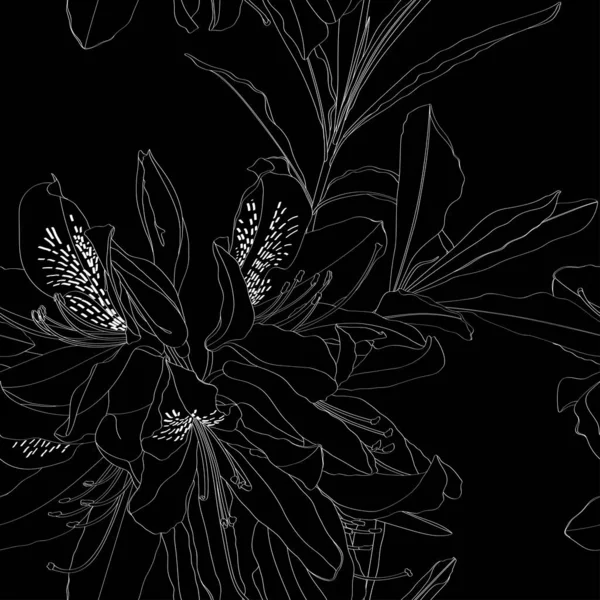 Linie Rhododendron Cosmopolitan Blumen Schwarz Weiße Umrisse Auf Einem Vintage — Stockvektor
