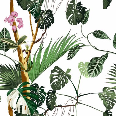 Egzotik, pürüzsüz desen. Phalaenopsis variegata orkidesi tropikal çiçekler ve yaz baskısında canavar palmiyesi yaprakları. Hawaii tişörtü ve mayo fayansı. Aşırı doğal botanik tasarımı.