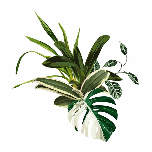 Liście Palmy Tropikalnej Liść Dżungli Orchidea Egzotyczne Ilustracje Izolowane Elementy — Wektor stockowy