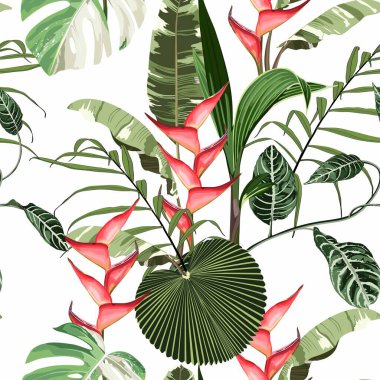Parlak yeşil yapraklı tropik kırmızı çiçekler. Düğün davetiyeleri, tebrik kartları ve moda tasarımı için egzotik tropikal bahçe.