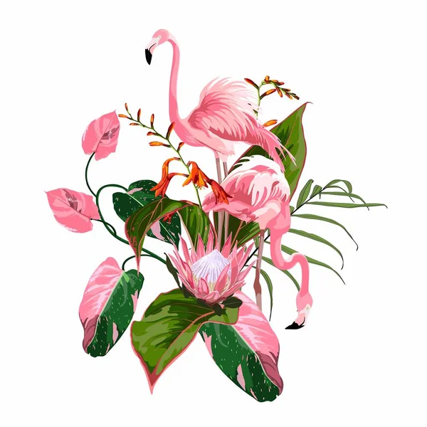 Райские Розовые Птицы Фламинго Сочетаются Экзотическими Листьями Цветком Протея Состав — стоковый вектор