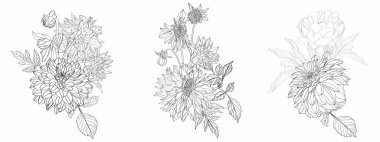 Üç çiçek buketi, siyah-beyaz el çizimi otlar, bahçe çiçekleri ve çizim tarzında böcekler..