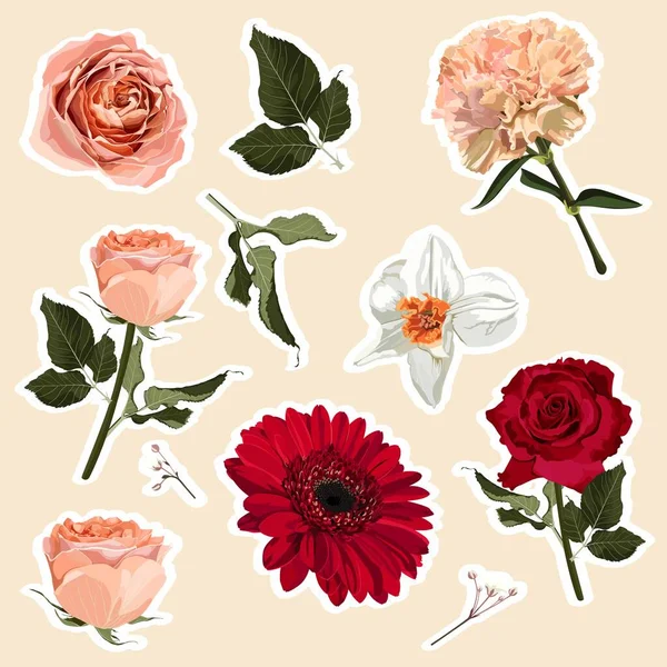 Set Rozen Lentebloemen Elementen Set Stickers Spelden Patches Handgeschreven Notities — Stockvector