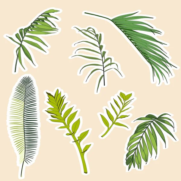 Набор Наклеек Икон Иллюстрацией Тропических Пальмовых Листьев — стоковый вектор