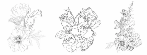 一套三束花束 由黑白手绘草本植物 花园花卉和昆虫组成 素描风格 — 图库矢量图片