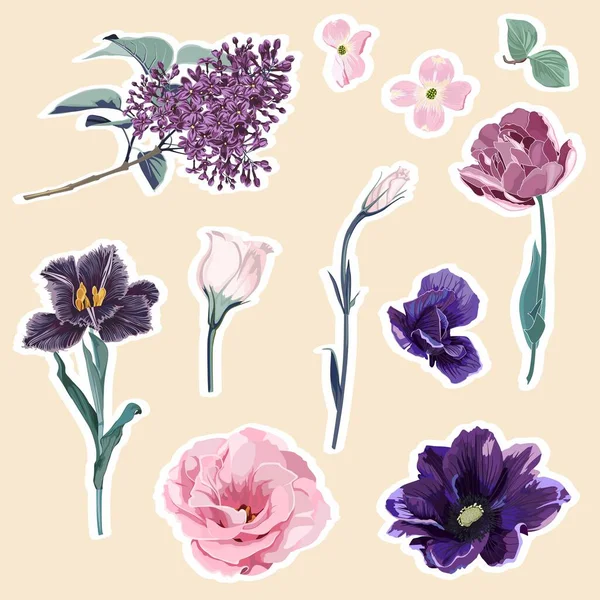Ilustración Calcomanías Primavera Elementos Florales Hermosa Colección Flores Románticas Con — Vector de stock