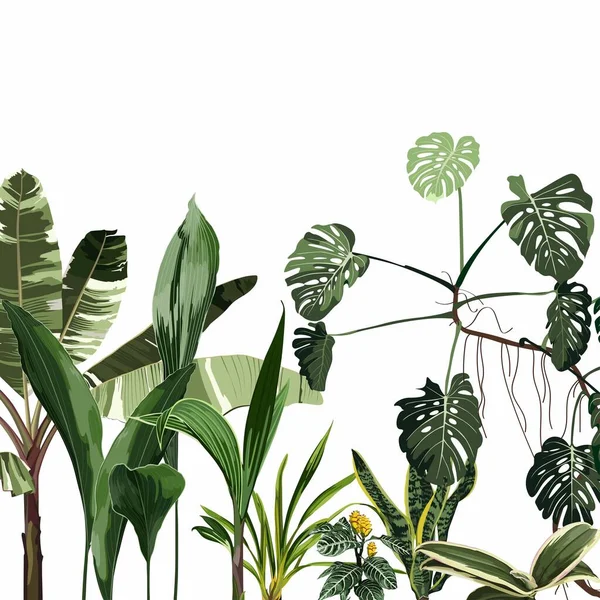 Tropiska Blad Vit Bakgrund Jungle Bladverk Illustration Exotiska Växter Sommar — Stock vektor