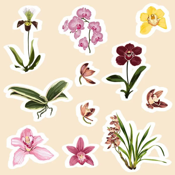 Conjunto Orquídeas Tropicales Flores Elementos Set Pegatinas Alfileres Parches Notas — Vector de stock