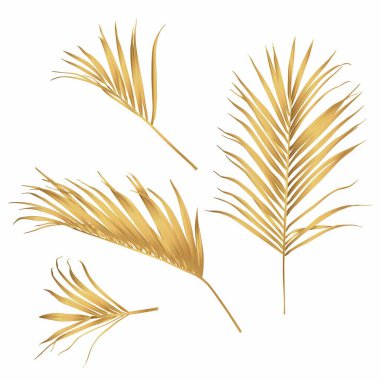 El çizimi tropikal yaz tasarım elementi: altın palmiye yaprakları, çizgi sanatı. 