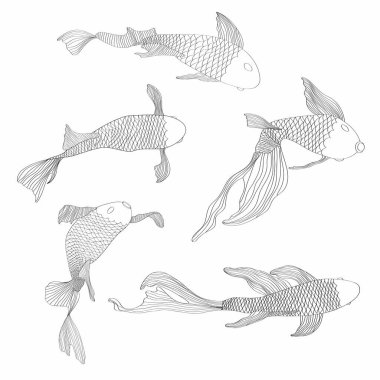 Koi sazan seti, Japon balığı. Koreli hayvanlar. El çizimi sanat dövmesi monokrom çizimi beyaz arkaplanda izole edilmiş..
