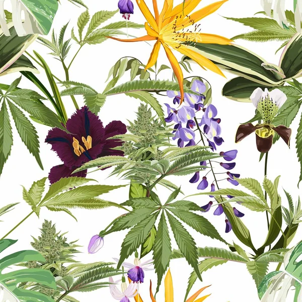 Kenevir bitkisinin kusursuz deseni ve birçok çeşit çiçek. Yasal Tıp Kenevir Marihuana Çizimi. Beyaz arkaplan.