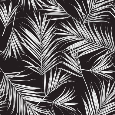 Doğa kusursuz desen. El çizimi tropikal yaz arkaplanı: siyah beyaz palmiye yaprakları, çizgi sanat arka planı.
