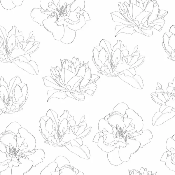 Bezešvé Vzor Linií Tulipány Květiny Silueta Bílém Pozadí — Stockový vektor