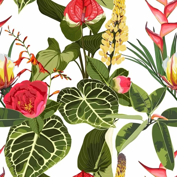 Motif Floral Sans Couture Plante Alocasia Feuilles Palmier Fleurs Tropicales — Image vectorielle
