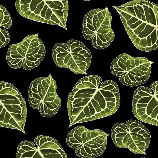 Motif Floral Sans Couture Feuilles Plantes Alocasia Sur Fond Blanc — Image vectorielle