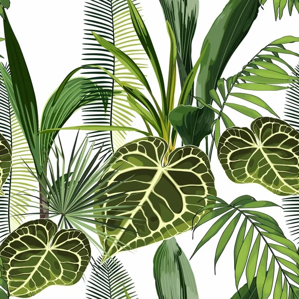 Bloemen Naadloos Patroon Alocasia Plant Palmbladeren Witte Achtergrond — Stockvector