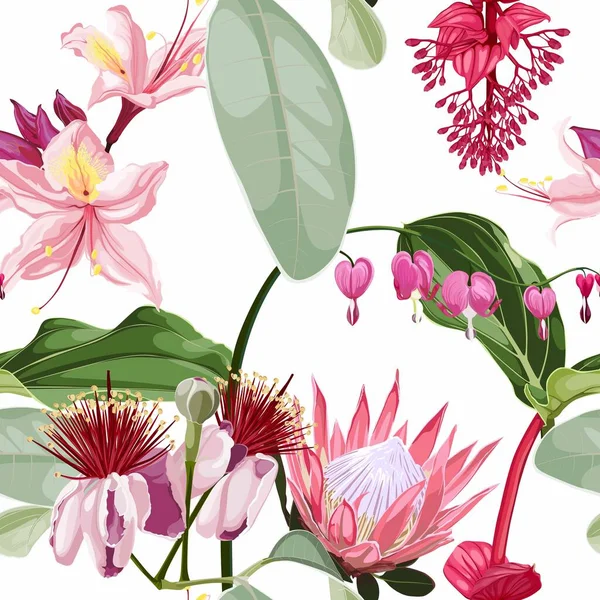 Бесшовный Фон Картины Feijoa Цветение Многие Виды Розовых Экзотических Тропических — стоковый вектор