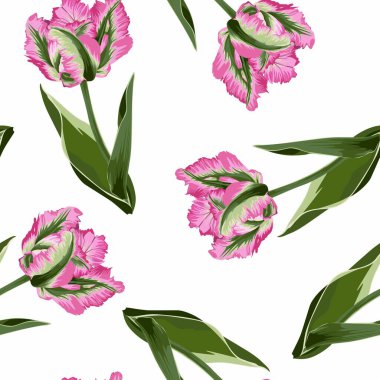 Lale çiçekli güzel botanik desen, kusursuz desen. Kumaş, duvar kağıdı ve desenli baskılar için güzel bir baskı. Beyaz arkaplan.