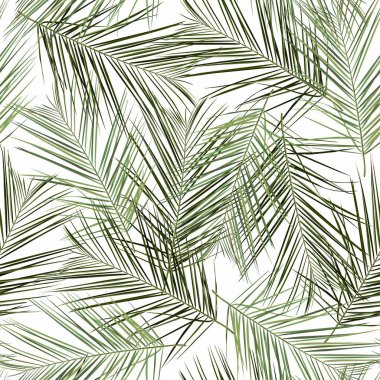 Beyaz arka planda tropik palmiye yaprakları olan, modaya uygun, pürüzsüz tropikal desenler. Güzel egzotik bitkiler. Havai 'nin moda yaz baskısı. Çizgi tarzı çiçekli..
