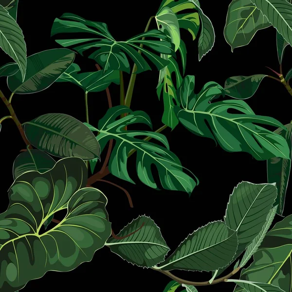 Monstère Verte Tropicale Feuilles Palmier Éventails Sur Fond Noir Modèle — Image vectorielle