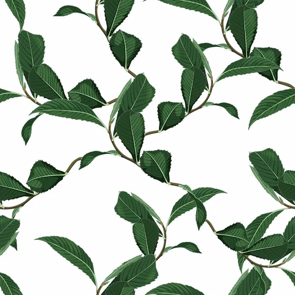 Fondo Plantas Exóticas Verdes Tropicales Patrón Sin Costuras Ilustración Gráfica — Vector de stock
