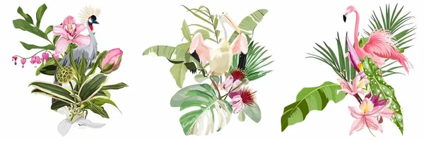 Exotische Rosafarbene Flamingos Kraniche Und Pelikane Mit Blättern Und Blüten — Stockvektor