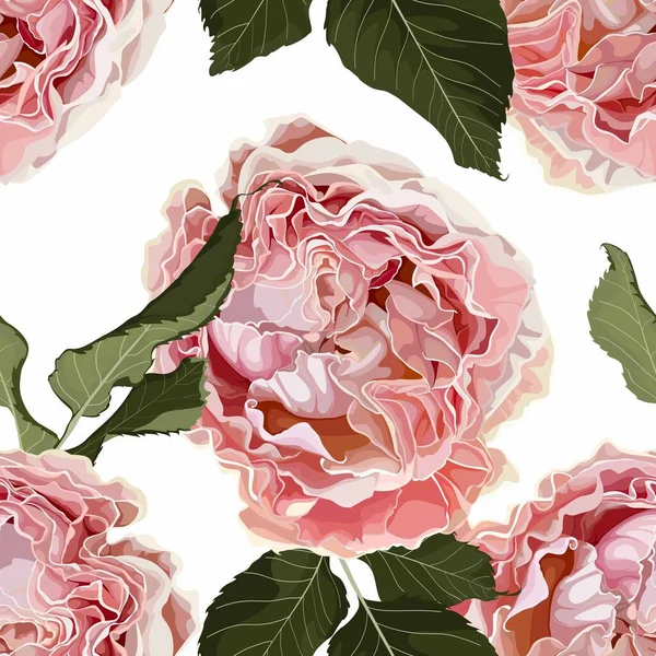 Çiçeksiz desen, arka plan tasarımı, bahçe pembesi, yeşil yapraklar. Zarif, sevimli bir illüstrasyon. Beyaz arkaplan.