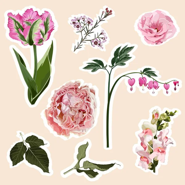Conjunto Rosas Tulipanes Flores Primaverales Set Pegatinas Alfileres Parches Notas — Vector de stock