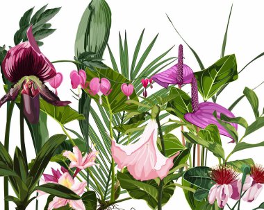 Beyaz arka planda tropik çiçekler ve yapraklar. Orman yaprakları çizimi. Egzotik bitkiler. Yaz plajı çiçekli tasarımı. Cennet doğası.