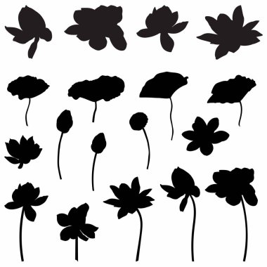 Lotus Vektörü çiçek elementi. Paketleme şablonu, desen tasarımı ögesi, vintage arkaplan, logo için Lotus çizgisi sanat silueti tasarımı.