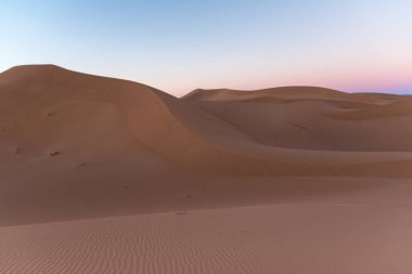 Al amanecer, Sahra 'nın kapılarında, Erg Chigaga' nın dev çöl kumulları. Fas 'ta. Seyahat ve macera kavramı.