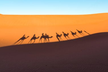 Erg Chigaga 'nın çöl kumullarındaki deve kervanı siluetlerinin gündüz görüş açısı Sahra kapılarında. Fas 'ta. Seyahat ve macera kavramı.