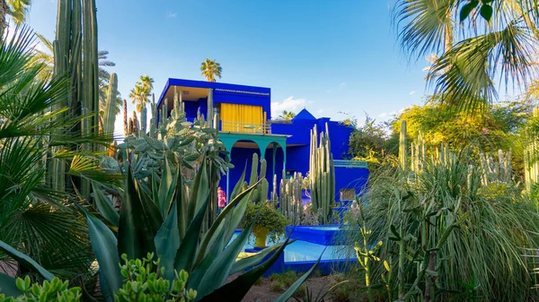 Canlı mavi bina, captus bahçesi ve egzotik bitkiler. Majorelle Bahçesi. Seyahat ve mimari kavramı. Marakeş, Fas
