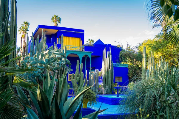 Canlı mavi bina, captus bahçesi ve egzotik bitkiler. Majorelle Bahçesi. Seyahat ve mimari kavramı. Marakeş, Fas