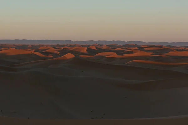 Grandes Dunas Deserto Erg Chigaga Portas Saara Amanecer Marrocos Conceito — Fotografia de Stock