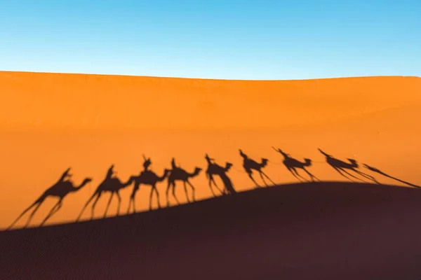 Daytime Wide Angle Shoot Camel Caravan Silhouettes Desert Dunes Erg — Stock Photo, Image