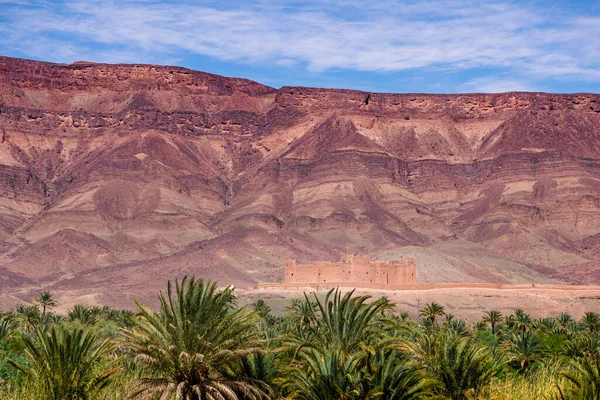 Daytime Wide Angle Shoot Adobe Castle Palm Trees Mountains Draa Stock Picture