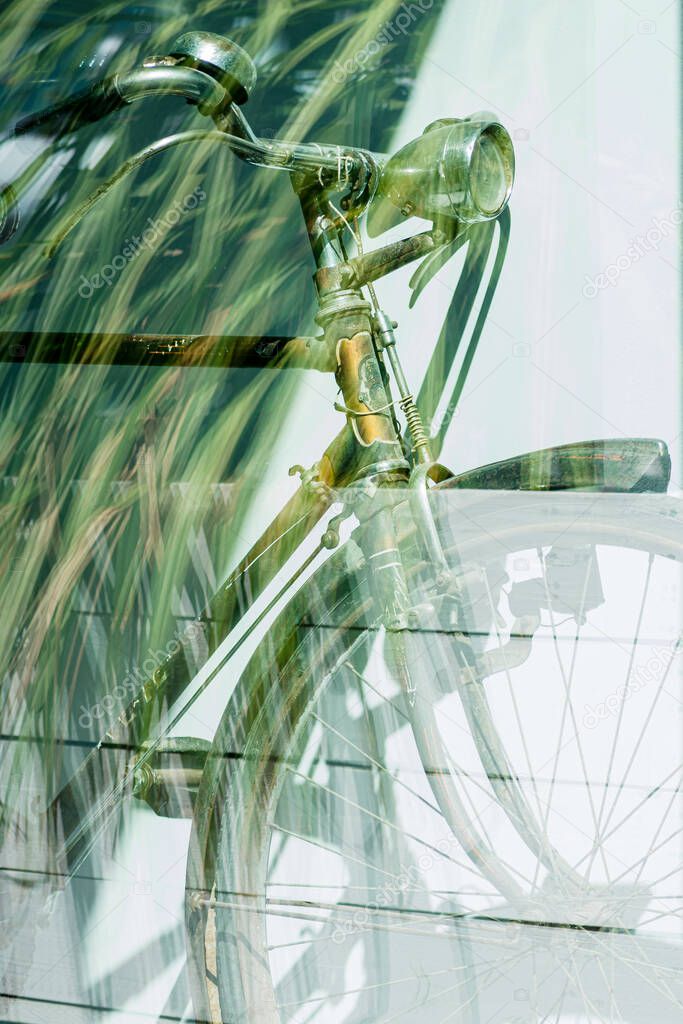 Detail of wheel and handlebars of an old classic bicycle, through a glass and with reflection of plants.