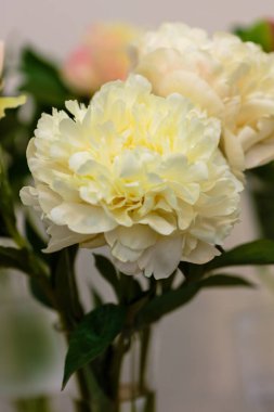 Hassas şakayık çiçekleri şenlikli arka plan, pastel ve yumuşak buket çiçekli kart