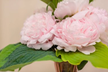 Hassas şakayık çiçekleri şenlikli arka plan, pastel ve yumuşak buket çiçekli kart