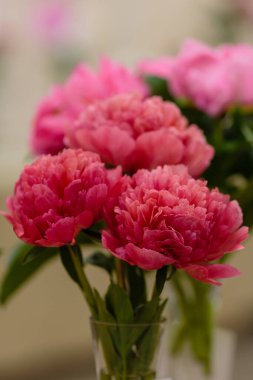 Hassas şakayık çiçekleri şenlikli arka plan, pastel ve yumuşak buket çiçekli kart