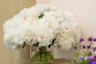 Hassas şakayık çiçekleri şenlikli arka plan, pastel ve yumuşak buket çiçekli kart