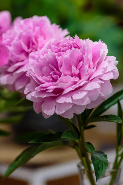 Hassas pembe şakayık çiçekleri şenlikli arka plan, pastel ve yumuşak buket çiçekli kart