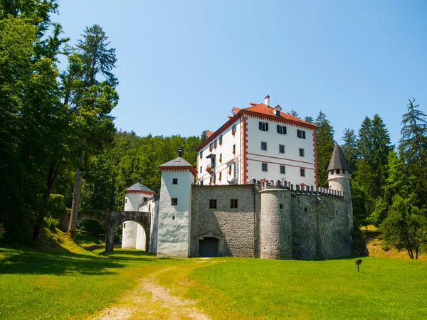 Охотничий замок Снежник в Словении — стоковое фото