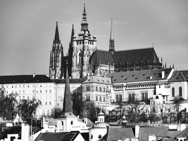 Prager Burg und Veitsdom — Stockfoto