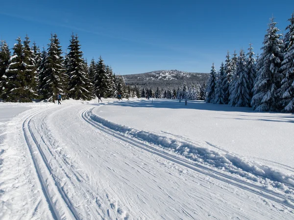 Sunny day on winter mountains with groomed cross-country trails — Stock Photo, Image