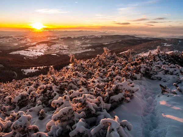 Solnedgång i vinterbergen — Stockfoto